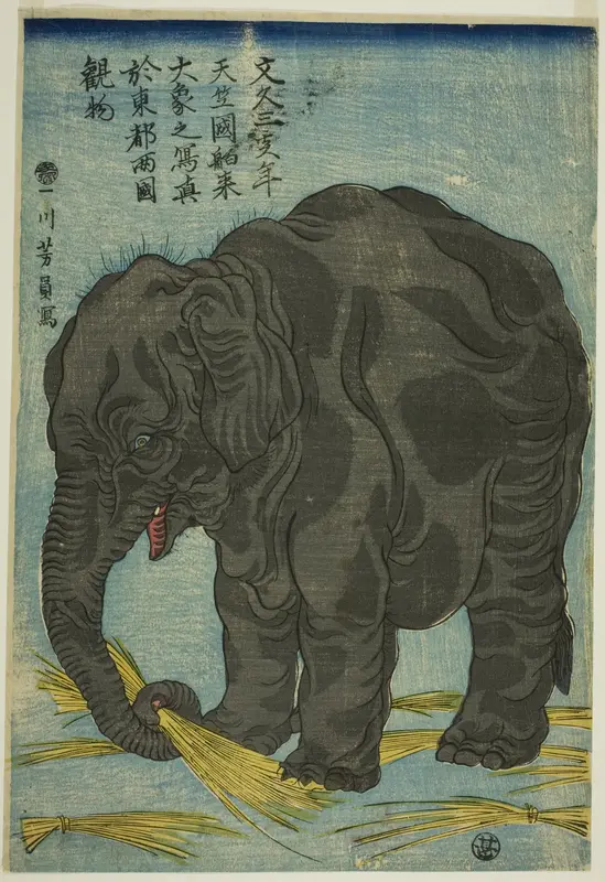 Picture of Large Elephant from India (Tenjiku hakurai dai zo no shashin), An Attraction at Ryogoku in the Eastern Capital (Toto Ryogoku mimono)
