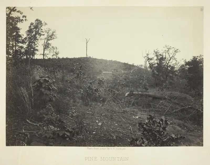 Pine Mountain