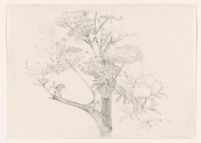 Plant met bloemen Wall Art by Unknown - High-Resolution Digital Print