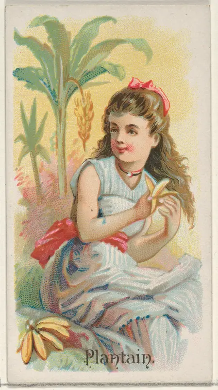 Plantain, from the Fruits series (N12) for Allen & Ginter Cigarettes Brands Wall Art by Allen & Ginter - High-Resolution Digital Print