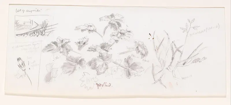 Planten Wall Art by Simon Koene - High-Resolution Digital Print