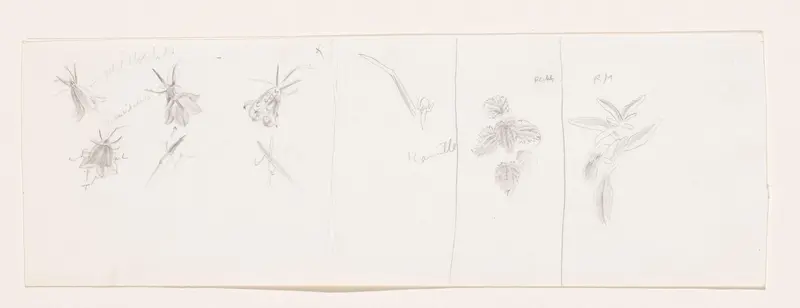 Planten, waaronder grasklokjes en kamille Wall Art by Simon Koene - High-Resolution Digital Print