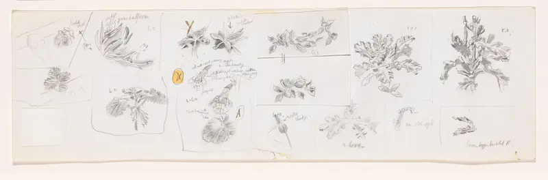 Planten, waaronder hondsdraf en distel Wall Art by Simon Koene - High-Resolution Digital Print