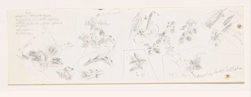 Planten, waaronder weegbree en distel Wall Art by Simon Koene - High-Resolution Digital Print