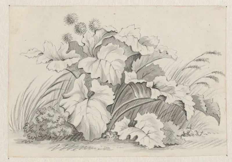 Plantenstudie Wall Art by Pieter de Goeje - High-Resolution Digital Print