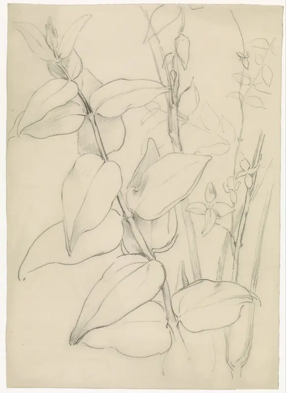 Plantstudie Wall Art by Antoon Derkinderen - High-Resolution Digital Print