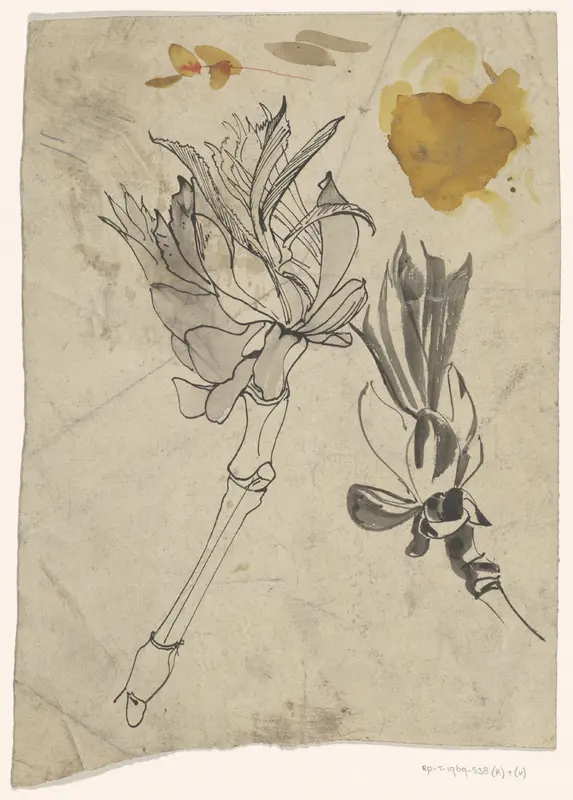 Plantstudie Wall Art by Carel Adolph Lion Cachet - High-Resolution Digital Print
