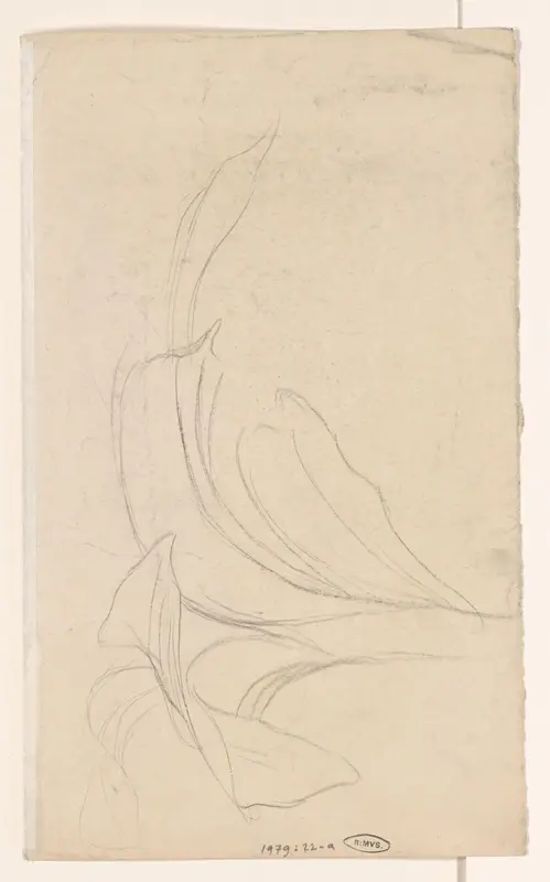 Plantstudie Wall Art by Wilhelmus Johannes Steenhoff - High-Resolution Digital Print
