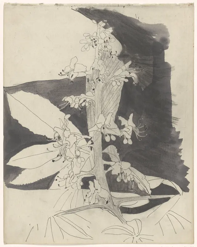 Plantstudie (brandnetel?) Wall Art by Carel Adolph Lion Cachet - High-Resolution Digital Print