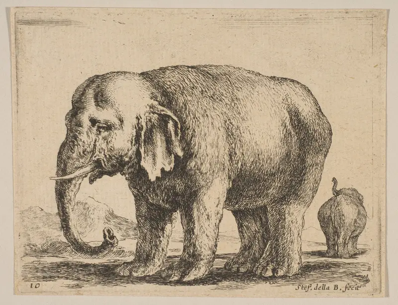 Plate 10: Elephant, from "Various animals" (Diversi animali) Wall Art by Stefano della Bella - High-Resolution Digital Print