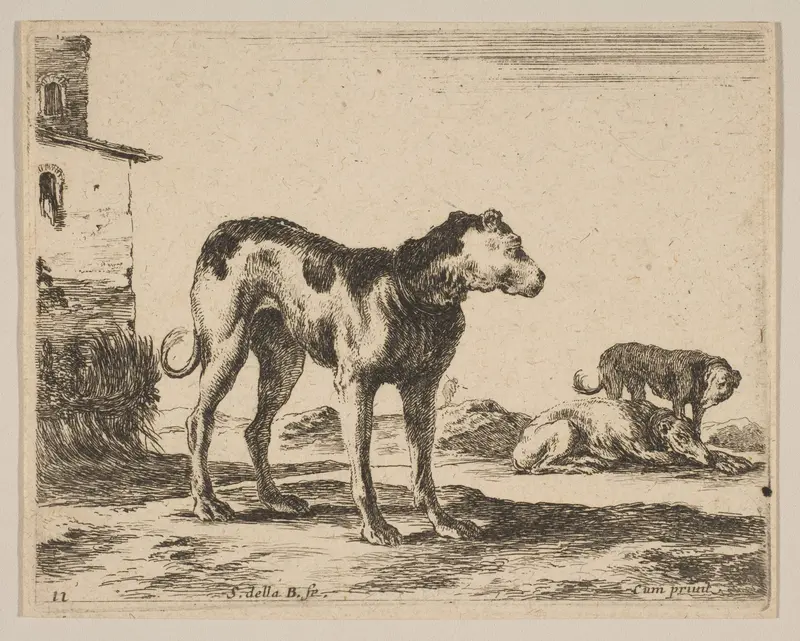 Plate 11: Dogs, from "Various animals" (Diversi animali) Wall Art by Stefano della Bella - High-Resolution Digital Print