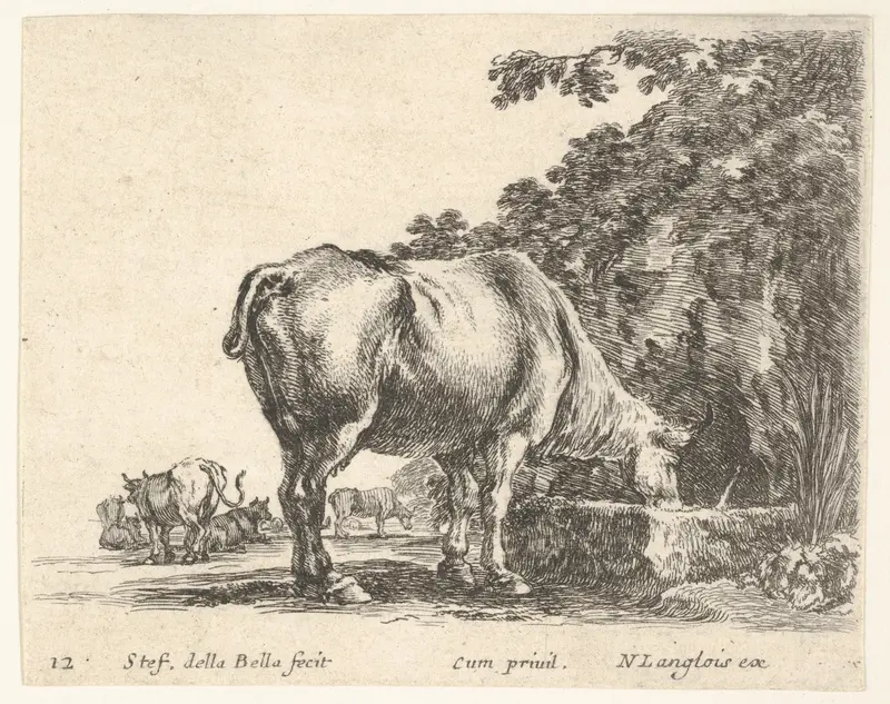 Plate 12: a cow drinking from a stone trough, other cows to left in background, from "Diversi Capricci" Wall Art by Stefano della Bella - High-Resolution Digital Print