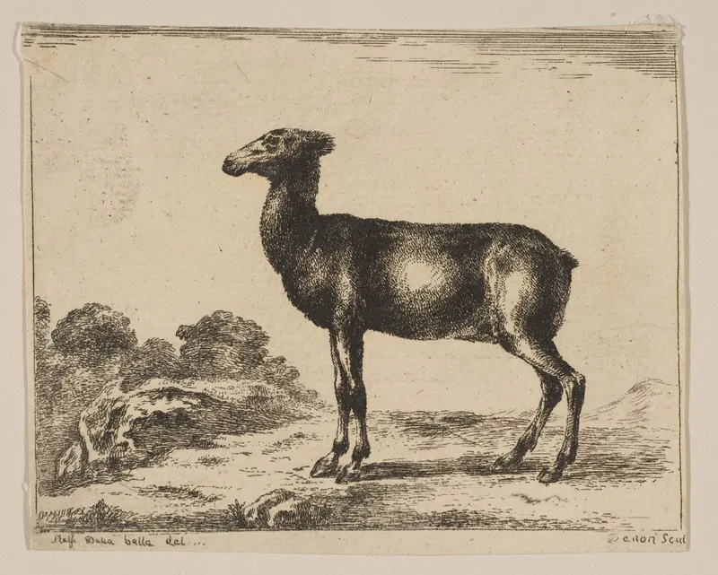 Plate 15: Doe, from "Various Animals" (Diversi Animali) Wall Art by Anonymous, 17th century - High-Resolution Digital Print