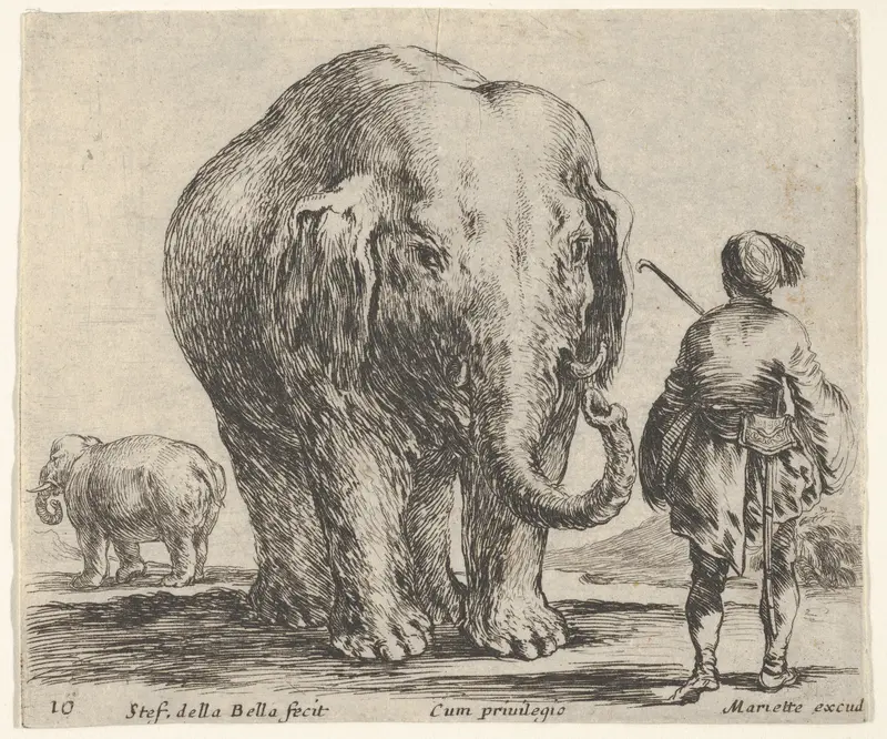 Plate 16: an elephant in center, his mahout standing to the right wearing an Oriental costume, another elephant to left in background, from "Diversi Capricci" Wall Art by Stefano della Bella - High-Resolution Digital Print