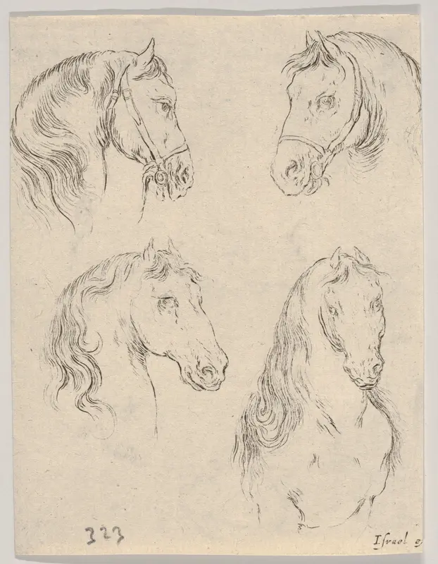 Plate 16: Four studies of horse heads, from "Various heads and figures" (Diverses têtes et figures) Wall Art by Stefano della Bella - High-Resolution Digital Print