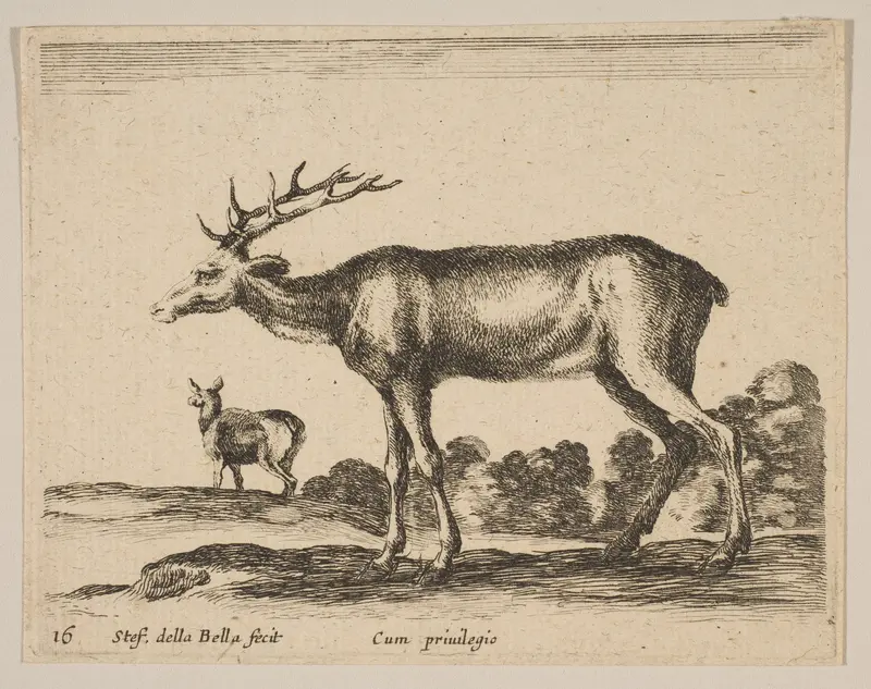 Plate 16: Stag, from "Various animals" (Diversi animali) Wall Art by Stefano della Bella - High-Resolution Digital Print