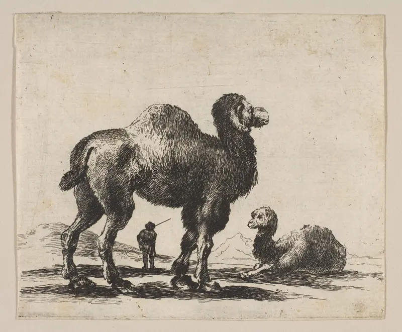 Plate 17: Camels, from "Various animals" (Diversi animali) Wall Art by Stefano della Bella - High-Resolution Digital Print
