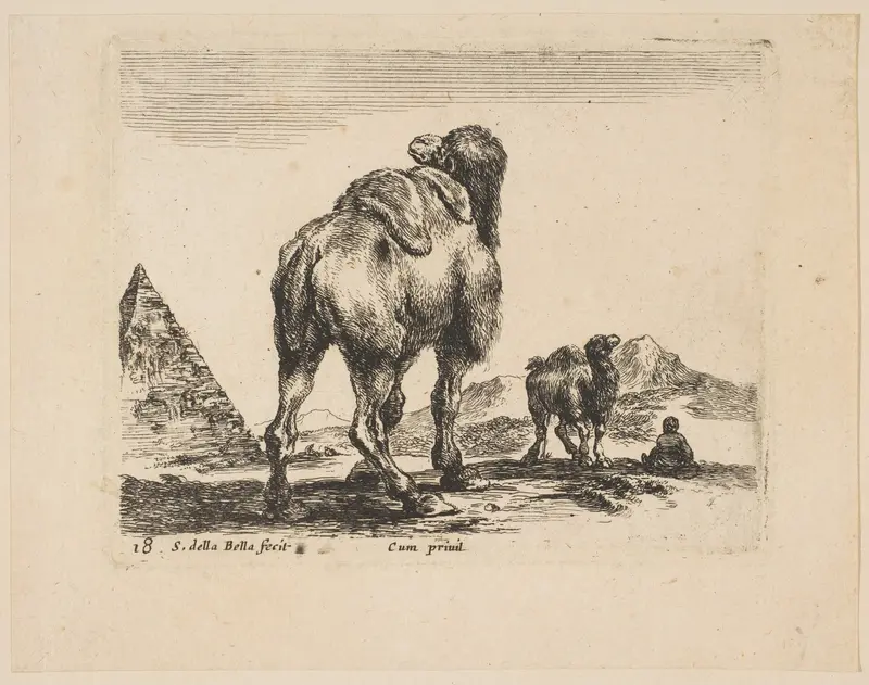 Plate 18: camel viewed from behind with pyramid at left, from 'Various animals' (Diversi animali) Wall Art by Stefano della Bella - High-Resolution Digital Print