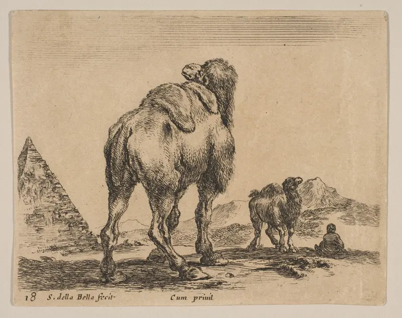 Plate 18: Camel viewed from behind with pyramid at left, from "Various animals" (Diversi animali) Wall Art by Stefano della Bella - High-Resolution Digital Print