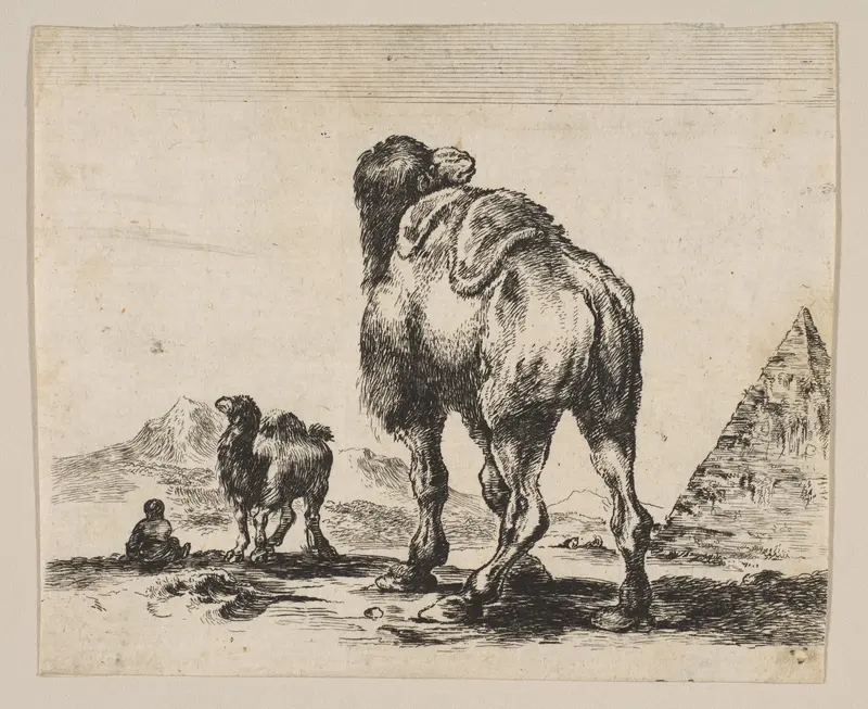 Plate 18: Camel viewed from behind with pyramid at right, from "Various animals" (Diversi animali) Wall Art by Stefano della Bella - High-Resolution Digital Print
