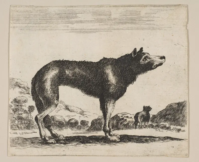 Plate 20: Wolf, from "Various animals" (Diversi animali) Wall Art by Anonymous, 17th century - High-Resolution Digital Print
