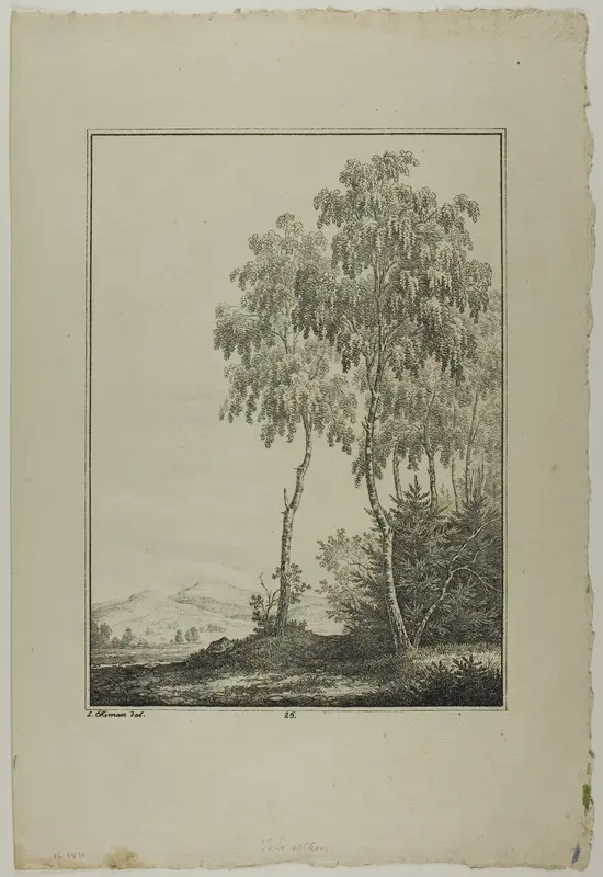 Plate 25 from Blatt Baum und Landschafts Studien Wall Art by Lorenz Ekemann Alesson - High-Resolution Digital Print
