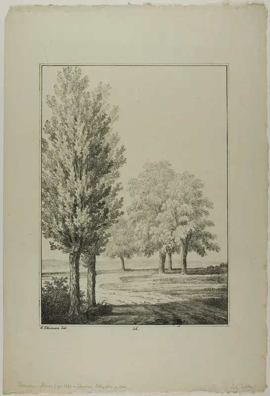 Plate 26 from Blatt Baum und Landschafts Studien Wall Art by Lorenz Ekemann Alesson - High-Resolution Digital Print