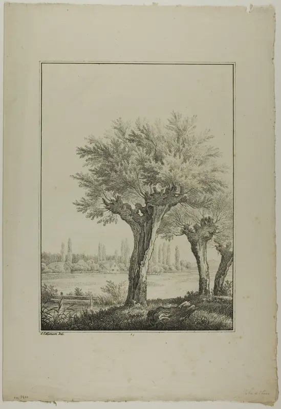 Plate 27 from Blatt Baum und Landschafts Studien Wall Art by Lorenz Ekemann Alesson - High-Resolution Digital Print