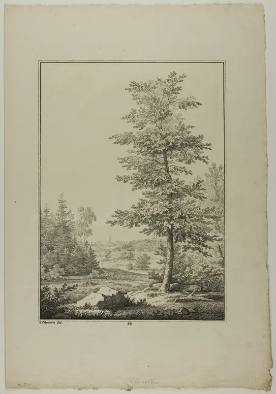 Plate 29 from Blatt Baum und Landschafts Studien Wall Art by Lorenz Ekemann Alesson - High-Resolution Digital Print