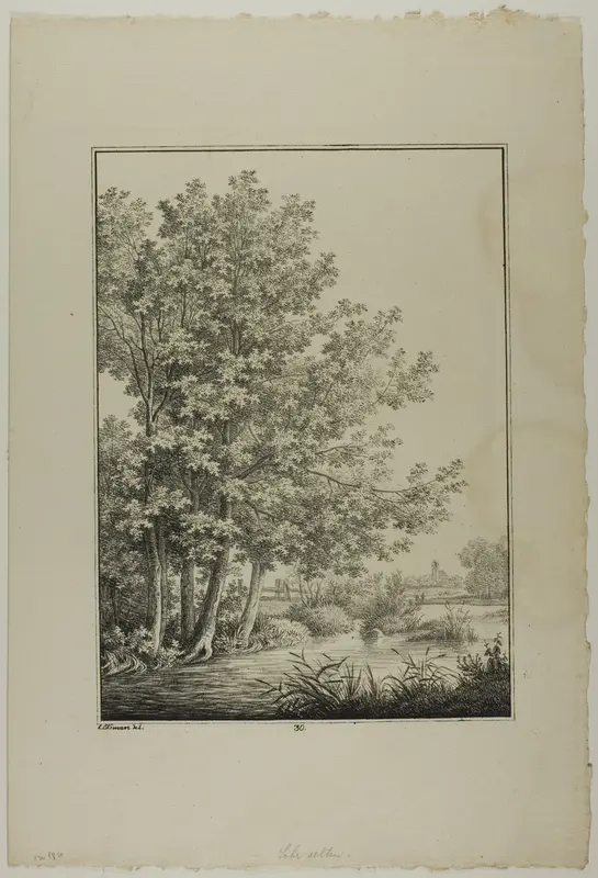 Plate 30 from Blatt Baum und Landschafts Studien Wall Art by Lorenz Ekemann Alesson - High-Resolution Digital Print