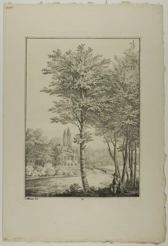 Plate 31 from Blatt Baum und Landschafts Studien Wall Art by Lorenz Ekemann Alesson - High-Resolution Digital Print