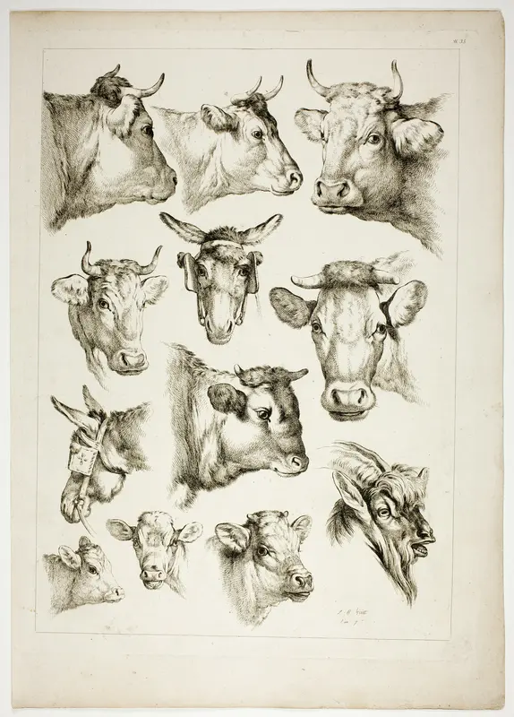 Plate 35 of 38 from Oeuvres de J. B. Huet
