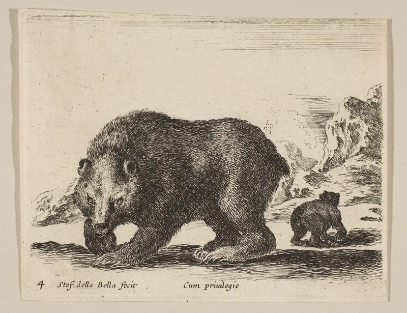 Plate 4: Bear, from "Various animals" (Diversi animali) Wall Art by Stefano della Bella - High-Resolution Digital Print