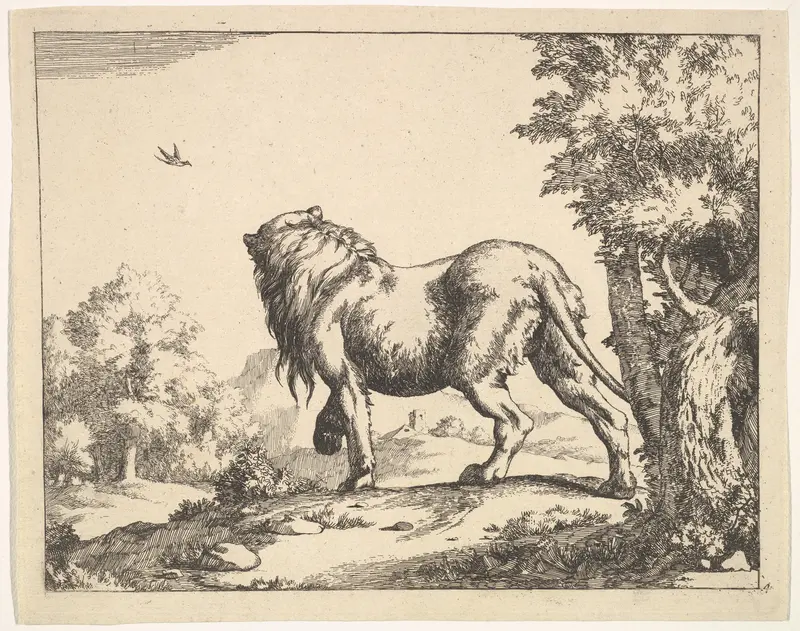 Plate 4 from "The Lions" Wall Art by Marcus de Bye - High-Resolution Digital Print