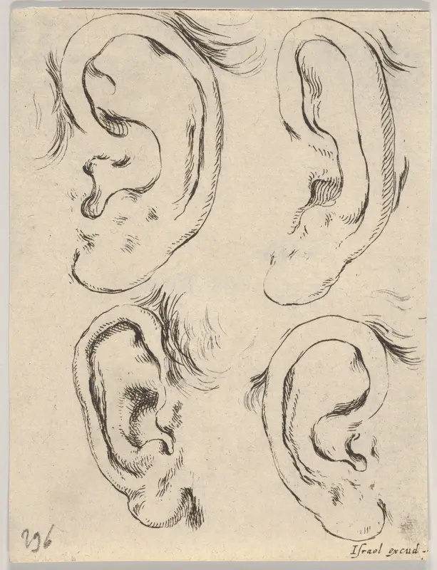 Plate 5: Four ears, from "The Book for Learning to Draw" (Livre pour apprendre à dessiner) Wall Art by Stefano della Bella - High-Resolution Digital Print