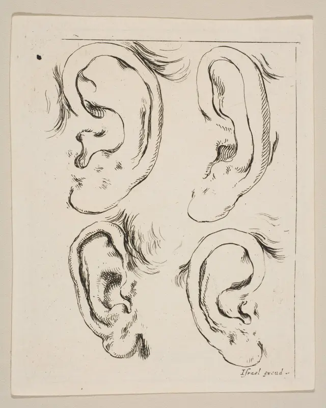 Plate 5: four ears, from 'The Book for Learning to Draw' (Livre pour apprendre à dessiner) Wall Art by Stefano della Bella - High-Resolution Digital Print
