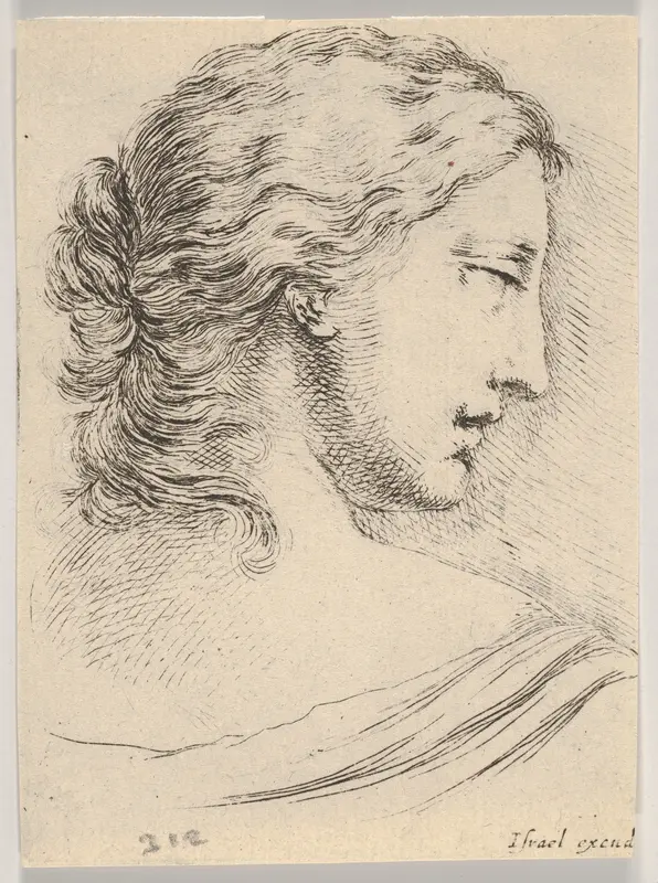 Plate 5: Head of a woman, turned in profile to the right, from "Various heads and figures" (Diverses têtes et figures) Wall Art by Stefano della Bella - High-Resolution Digital Print
