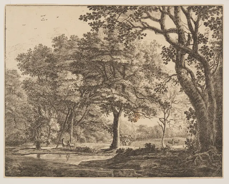 Plate. 6, from Six Views in the Wood of The Hague Wall Art by Roelant Roghman - High-Resolution Digital Print