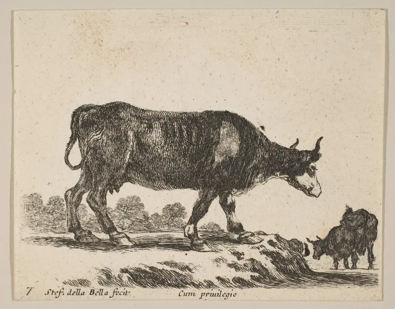 Plate 7: Cow, from "Various animals" (Diversi animali) Wall Art by Stefano della Bella - High-Resolution Digital Print