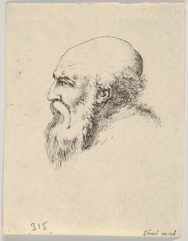 Plate 8: Head of an old bald man with a long beard, facing left in profile, from "Various heads and figures" (Diverses têtes et figures) Wall Art by Stefano della Bella - High-Resolution Digital Print