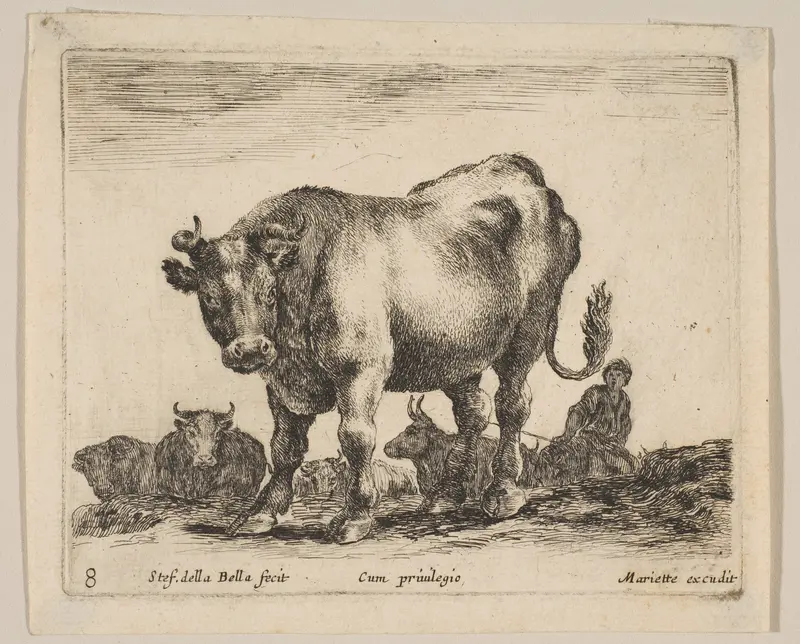 Plate 8: Ox, from "Various animals" (Diversi animali) Wall Art by Stefano della Bella - High-Resolution Digital Print