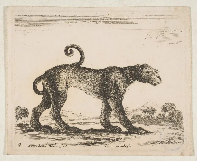 Plate 9: Leopard, from "Various animals" (Diversi animali) Wall Art by Stefano della Bella - High-Resolution Digital Print