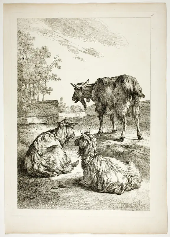 Plate Eighteen of 38 from Oeuvres de J. B. Huet Wall Art by Jean Baptiste Huet - High-Resolution Digital Print