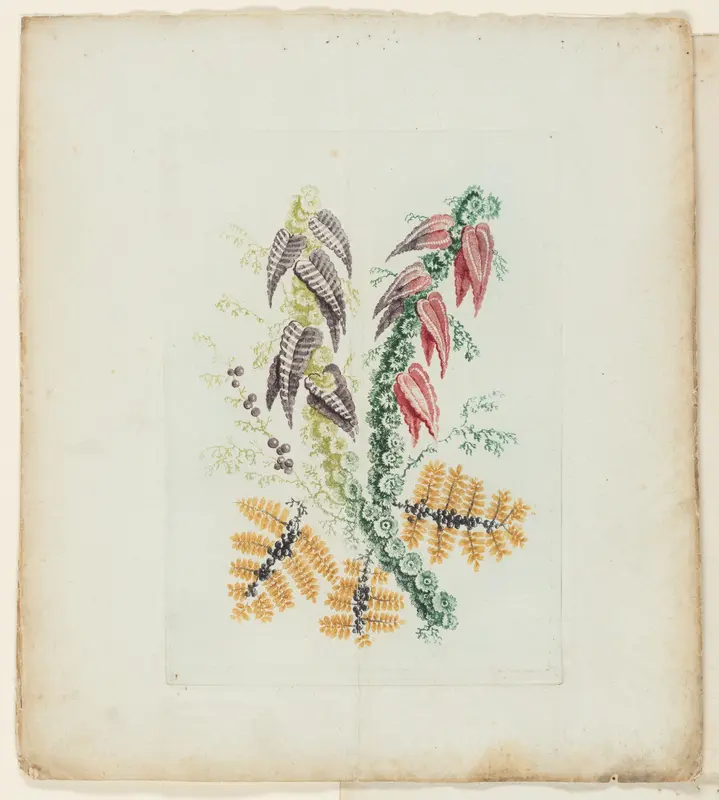 Plate, from New Suite of Notebooks of Ideal Flowers for Use by Draftsmen and Painters Wall Art by Anne Allen - High-Resolution Digital Print