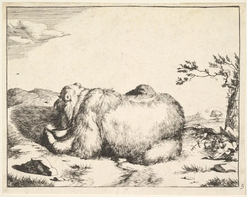 Plate from "The Set of The Bears" Wall Art by Marcus de Bye - High-Resolution Digital Print