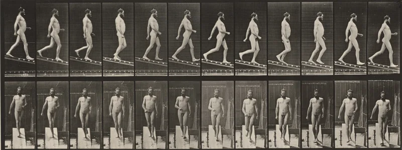Plate Number 113. Descending an incline Wall Art by Eadweard Muybridge - High-Resolution Digital Print