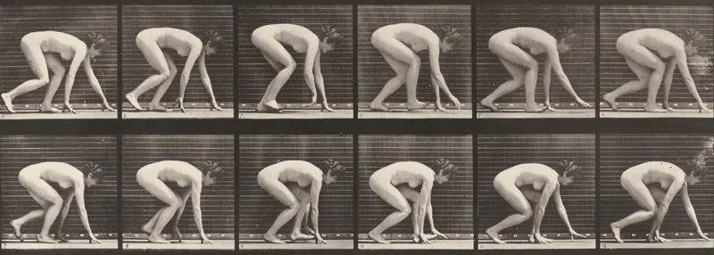 Plate Number 183. Walking on hands and feet Wall Art by Eadweard Muybridge - High-Resolution Digital Print