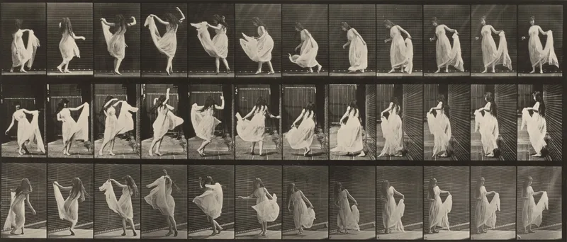Plate Number 193. Dancing (fancy) Wall Art by Eadweard Muybridge - High-Resolution Digital Print