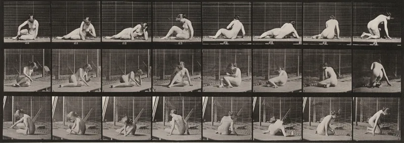 Plate Number 266. Turning and changing position while on the ground Wall Art by Eadweard Muybridge - High-Resolution Digital Print