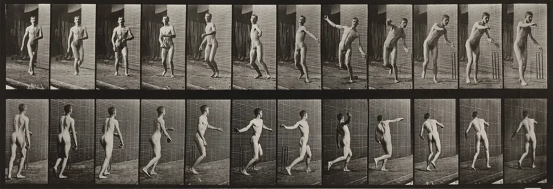 Plate Number 289. Cricket, round-arm bowling Wall Art by Eadweard Muybridge - High-Resolution Digital Print